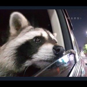 Meet your Posher, Isabella